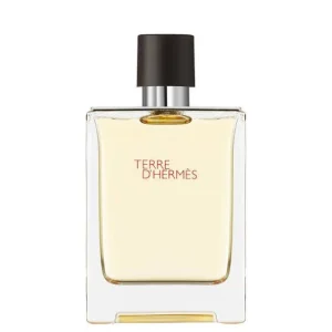 Hermes Terre D’Hermes Edp Erkek Parfüm 100.ml